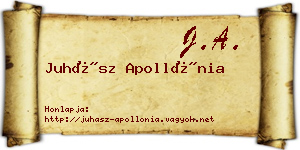 Juhász Apollónia névjegykártya